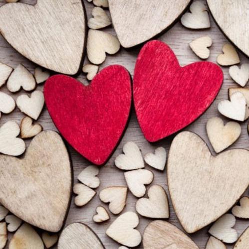 Valentýnský ples 2026